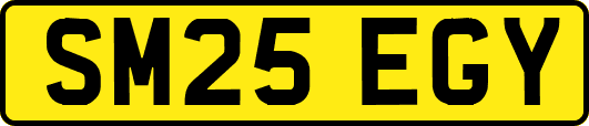 SM25EGY