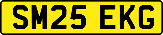 SM25EKG