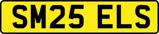 SM25ELS