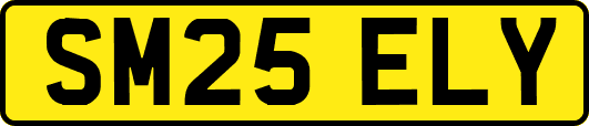 SM25ELY