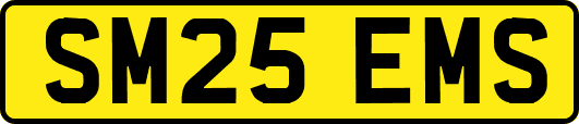 SM25EMS