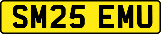 SM25EMU
