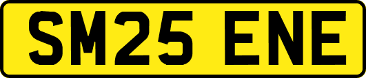 SM25ENE