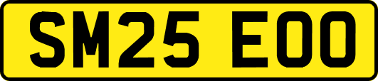 SM25EOO