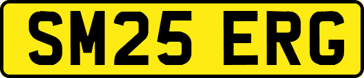 SM25ERG