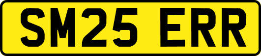 SM25ERR