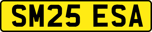 SM25ESA