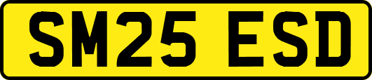 SM25ESD