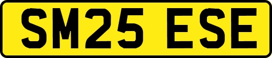 SM25ESE