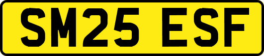 SM25ESF