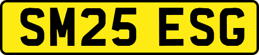 SM25ESG