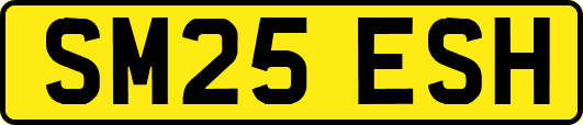 SM25ESH