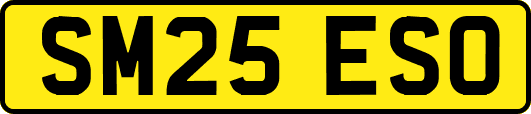 SM25ESO