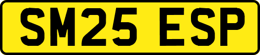 SM25ESP