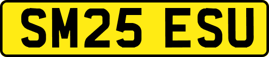 SM25ESU