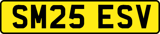 SM25ESV