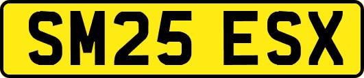 SM25ESX