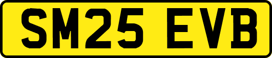 SM25EVB
