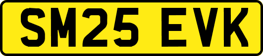 SM25EVK