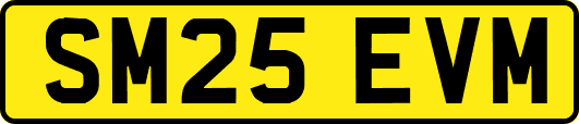 SM25EVM