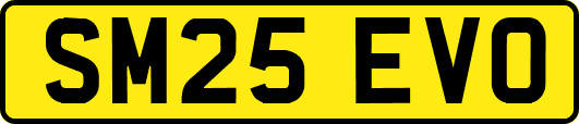 SM25EVO