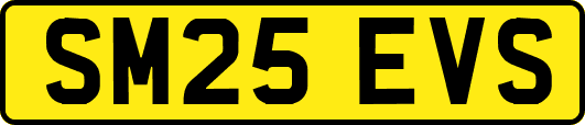 SM25EVS
