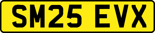 SM25EVX