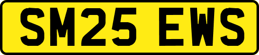 SM25EWS