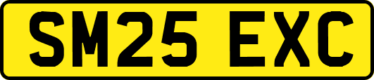 SM25EXC