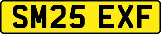 SM25EXF