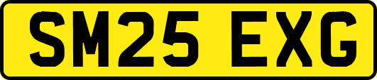 SM25EXG