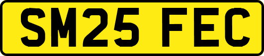 SM25FEC