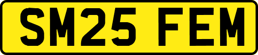SM25FEM
