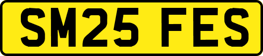SM25FES