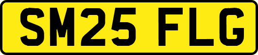 SM25FLG