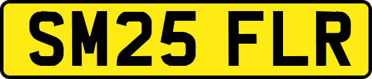 SM25FLR