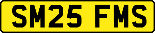 SM25FMS