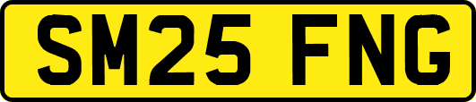 SM25FNG