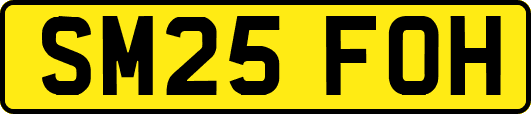 SM25FOH