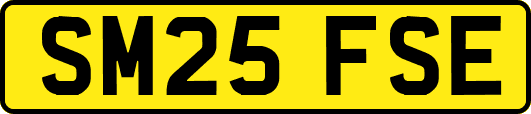 SM25FSE