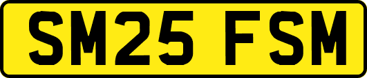 SM25FSM