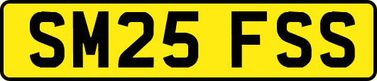 SM25FSS