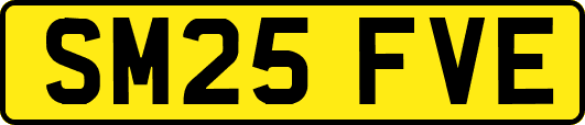 SM25FVE