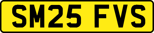 SM25FVS