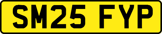 SM25FYP