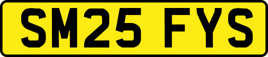 SM25FYS