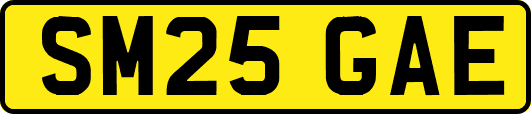 SM25GAE