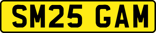 SM25GAM