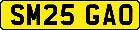 SM25GAO
