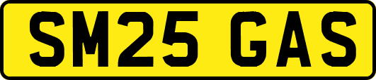 SM25GAS
